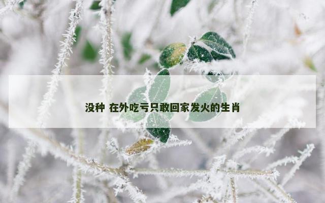 没种 在外吃亏只敢回家发火的生肖