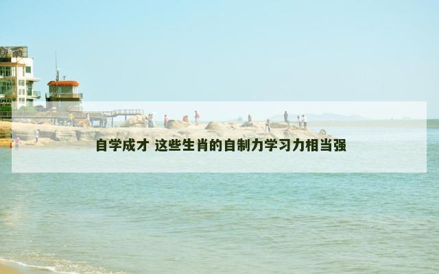 自学成才 这些生肖的自制力学习力相当强