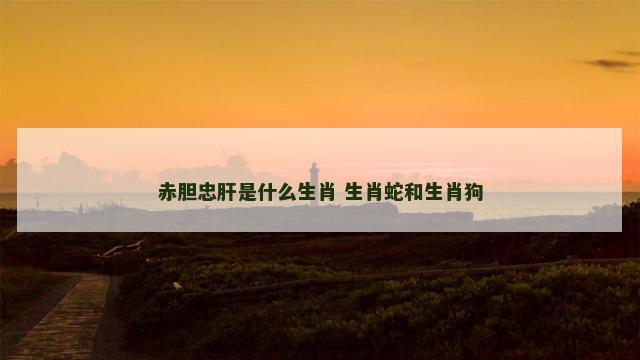 赤胆忠肝是什么生肖 生肖蛇和生肖狗