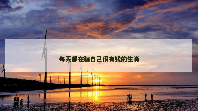 每天都在骗自己很有钱的生肖