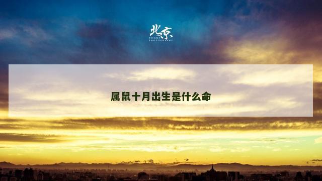 属鼠十月出生是什么命