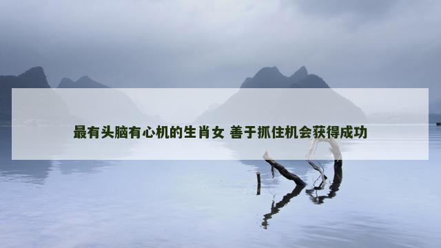 最有头脑有心机的生肖女 善于抓住机会获得成功