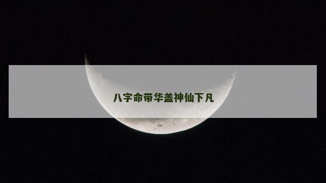 八字命带华盖神仙下凡