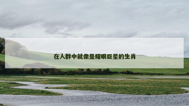 在人群中就像是耀眼巨星的生肖