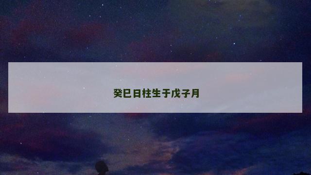 癸巳日柱生于戊子月