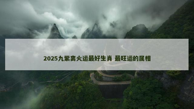 2025九紫离火运最好生肖 最旺运的属相