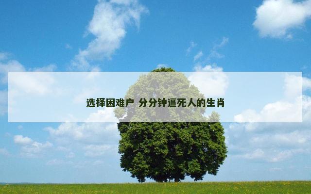 选择困难户 分分钟逼死人的生肖