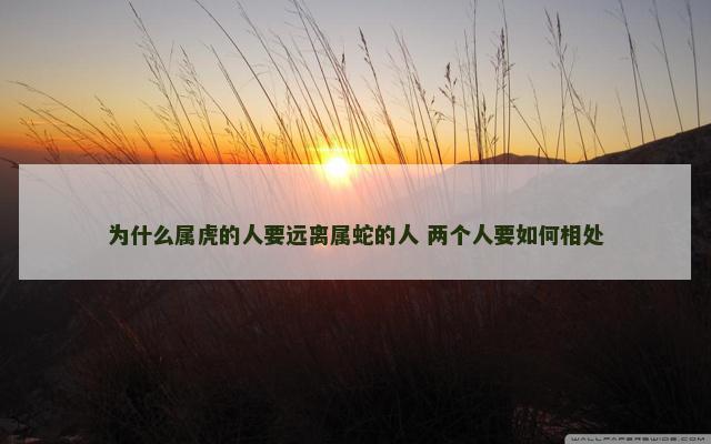 为什么属虎的人要远离属蛇的人 两个人要如何相处