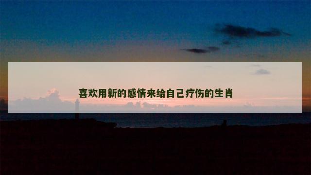 喜欢用新的感情来给自己疗伤的生肖