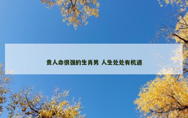 贵人命很强的生肖男 人生处处有机遇