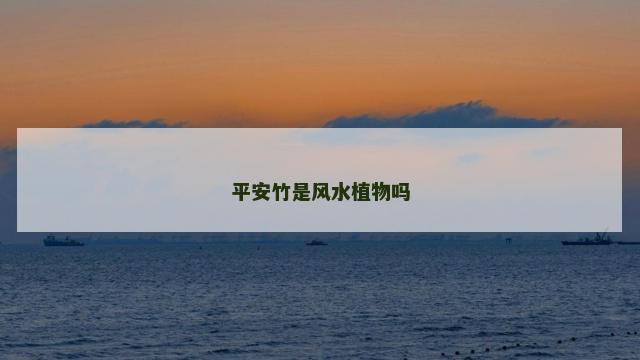 平安竹是风水植物吗