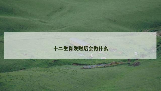 十二生肖发财后会做什么