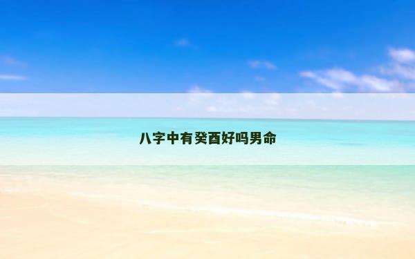八字中有癸酉好吗男命