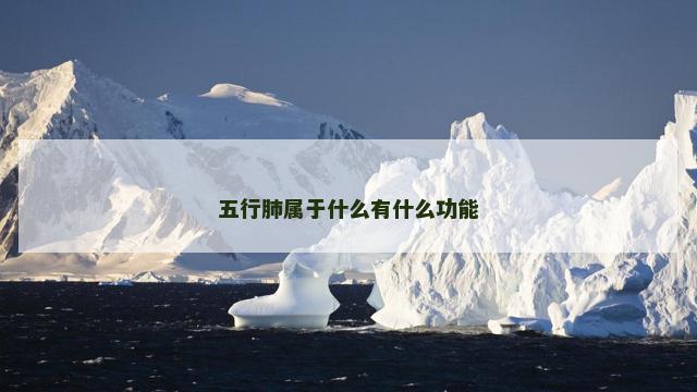 五行肺属于什么有什么功能