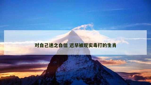 对自己迷之自信 迟早被现实毒打的生肖