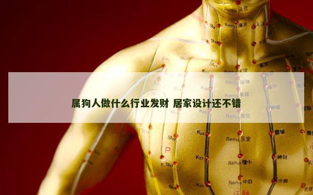 属狗人做什么行业发财 居家设计还不错