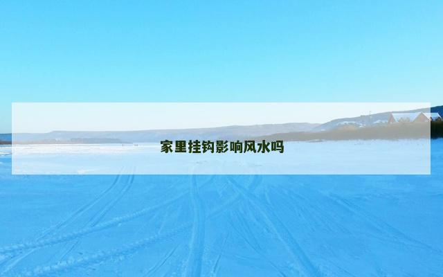 家里挂钩影响风水吗
