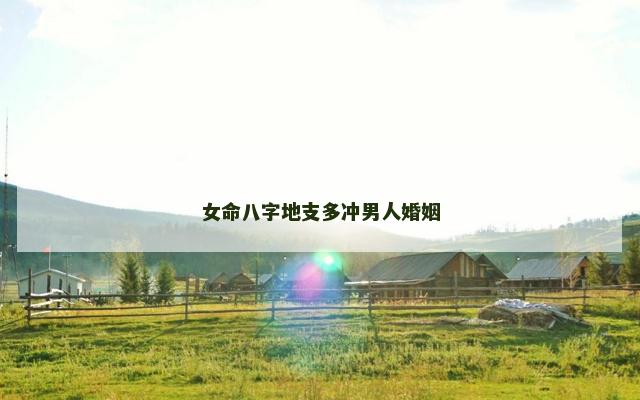 女命八字地支多冲男人婚姻