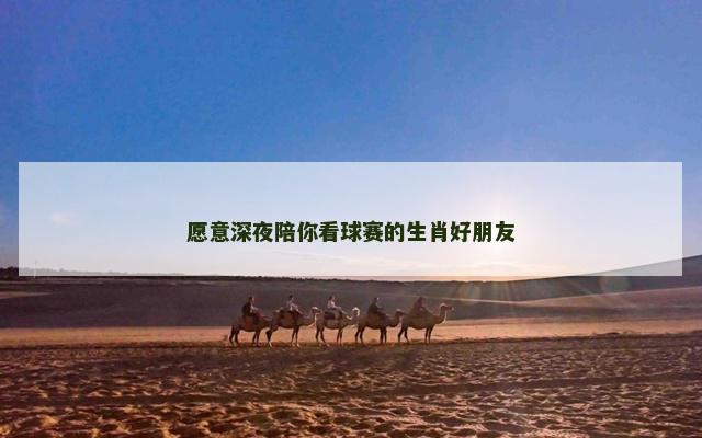 愿意深夜陪你看球赛的生肖好朋友