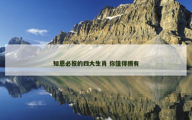 知恩必报的四大生肖 你值得拥有