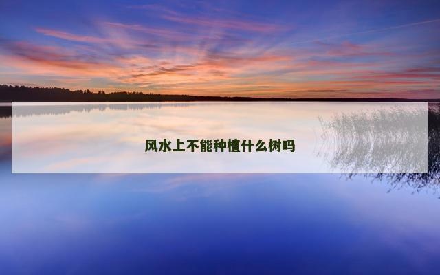 风水上不能种植什么树吗
