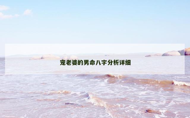 宠老婆的男命八字分析详细