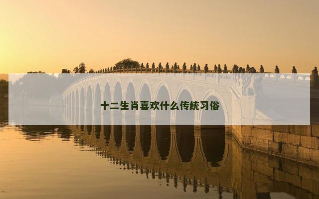 十二生肖喜欢什么传统习俗