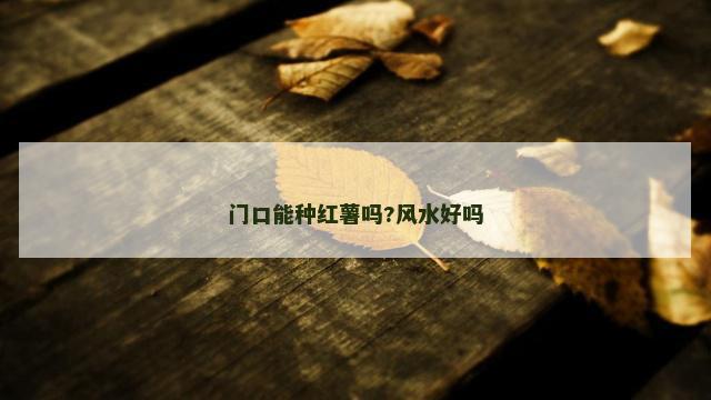 门口能种红薯吗?风水好吗