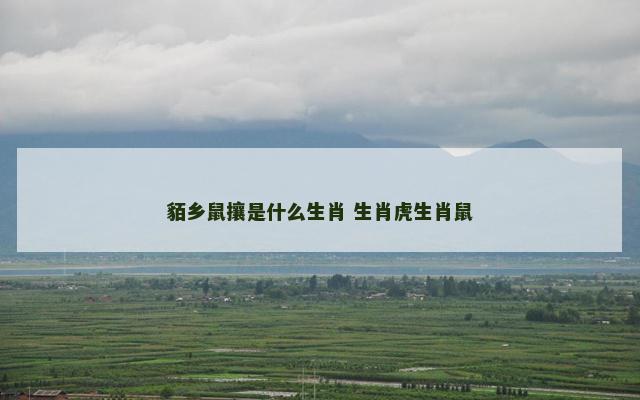 貊乡鼠攘是什么生肖 生肖虎生肖鼠