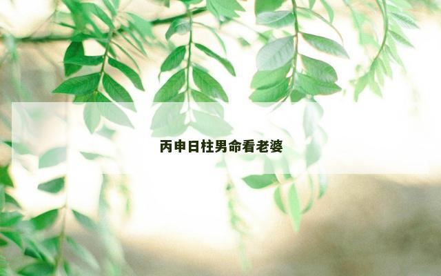 丙申日柱男命看老婆