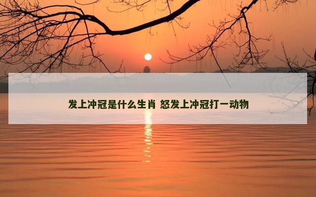 发上冲冠是什么生肖 怒发上冲冠打一动物
