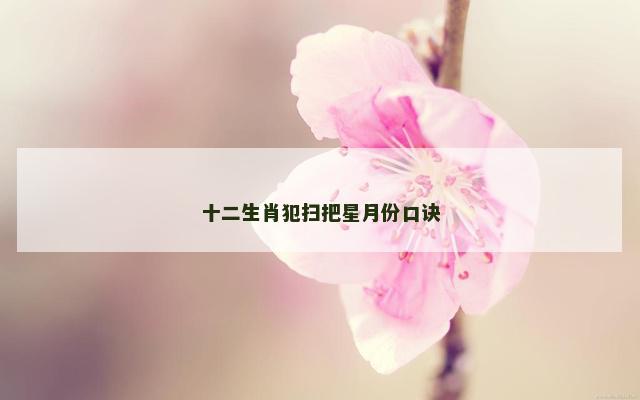 十二生肖犯扫把星月份口诀