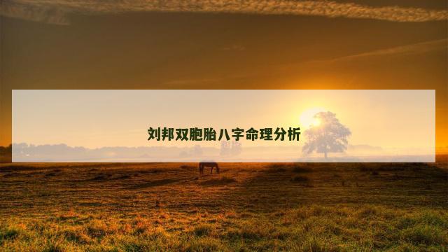 刘邦双胞胎八字命理分析