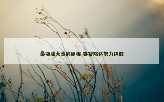 最能成大事的属相 睿智豁达努力进取