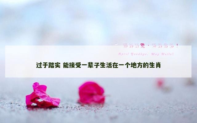 过于踏实 能接受一辈子生活在一个地方的生肖