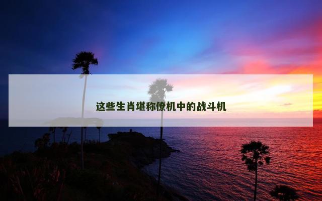 这些生肖堪称僚机中的战斗机