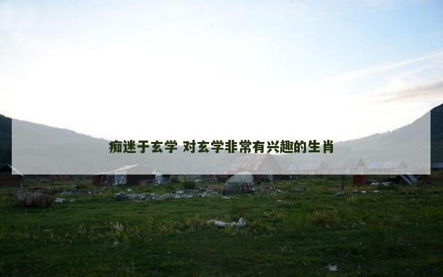 痴迷于玄学 对玄学非常有兴趣的生肖