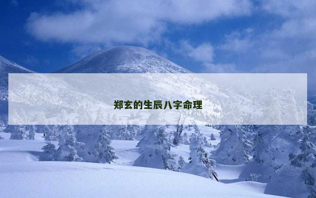 郑玄的生辰八字命理
