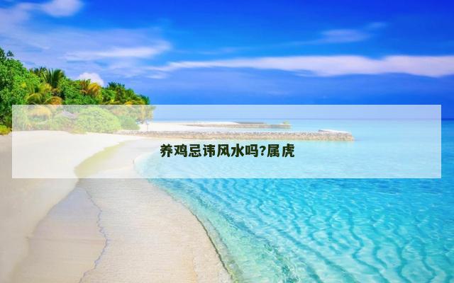 养鸡忌讳风水吗?属虎
