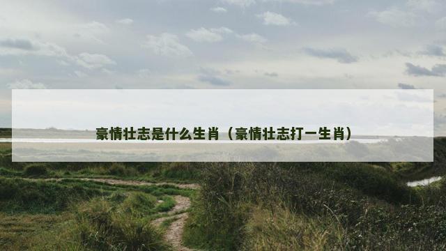 豪情壮志是什么生肖（豪情壮志打一生肖）