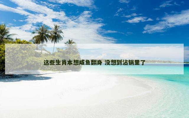 这些生肖本想咸鱼翻身 没想到沾锅里了