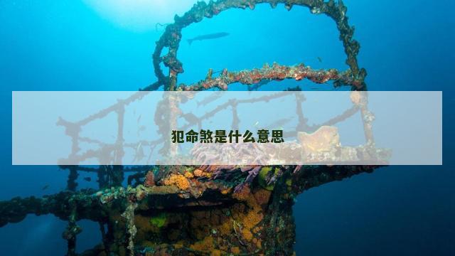 犯命煞是什么意思