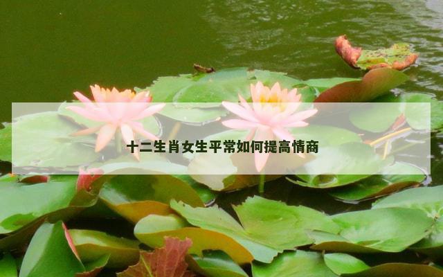 十二生肖女生平常如何提高情商