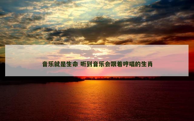 音乐就是生命 听到音乐会跟着哼唱的生肖