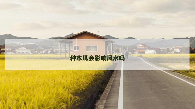 种木瓜会影响风水吗