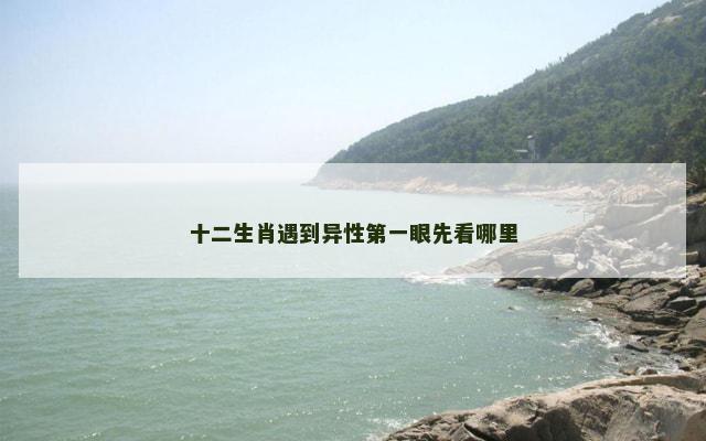 十二生肖遇到异性第一眼先看哪里