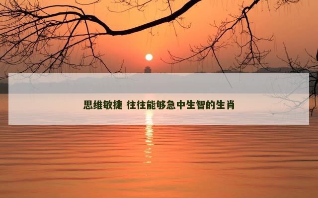 思维敏捷 往往能够急中生智的生肖