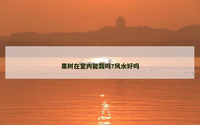 果树在室内能栽吗?风水好吗