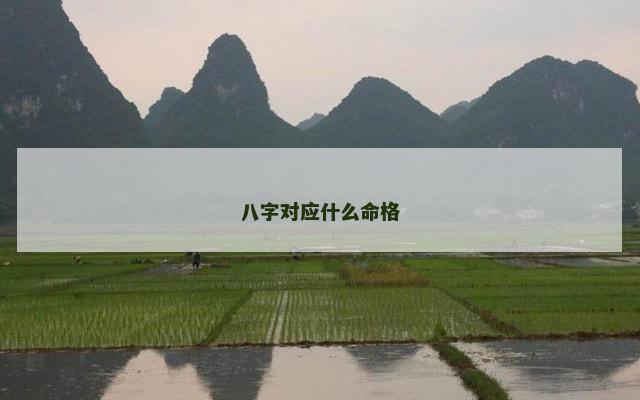八字对应什么命格