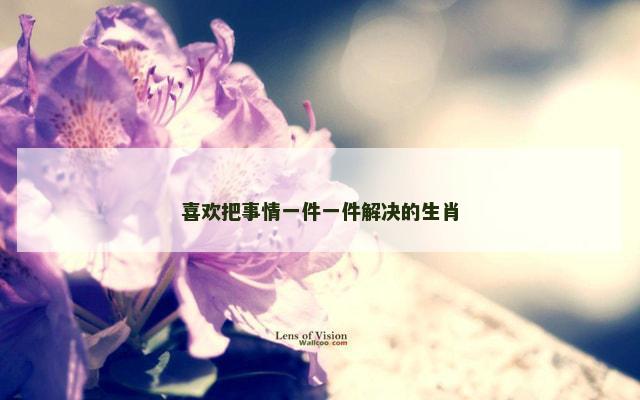 喜欢把事情一件一件解决的生肖